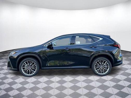 2025 Lexus NX 350h Luxury