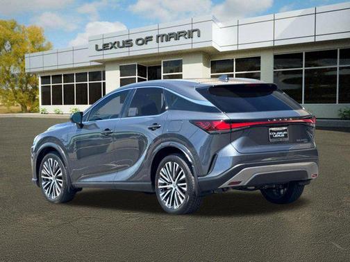 Cloudburst Gray 2026 Lexus RX 350h Premium+