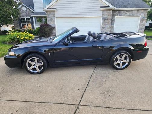 Black Clearcoat 2003 Ford Mustang SVT Cobra