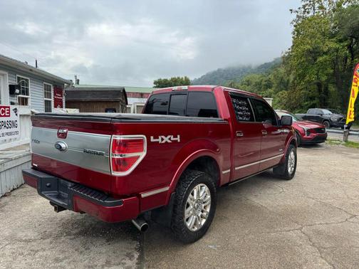 2013 Ford F-150 Platinum