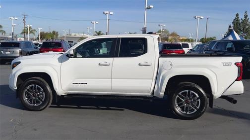 Ice Cap 2024 Toyota Tacoma TRD Sport