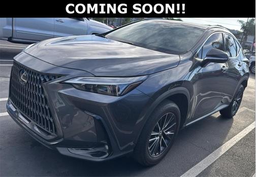 2024 Lexus NX 250 Base