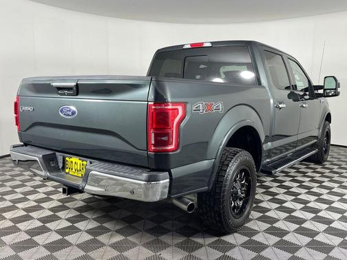 Guard Metallic 2015 Ford F-150 Lariat