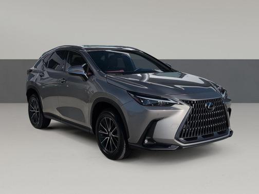 2024 Lexus NX 250 Premium