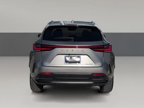 2024 Lexus NX 250 Premium