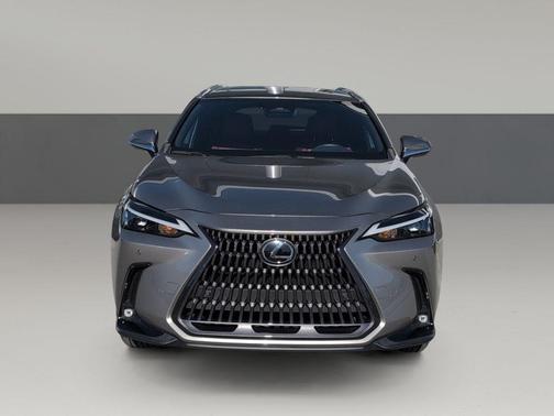 2024 Lexus NX 250 Premium