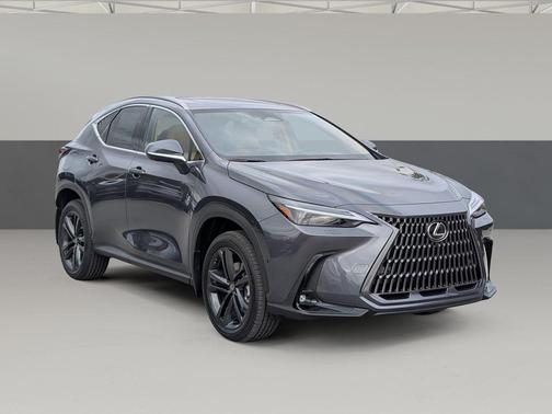 Cloudburst Gray 2026 Lexus NX 450h+ Luxury