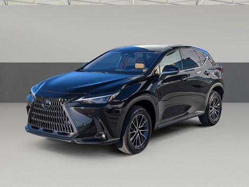 2025 Lexus NX 250 Premium
