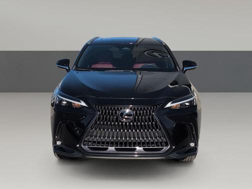 2023 Lexus NX 250 Premium