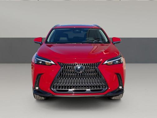 2025 Lexus NX 250 Premium