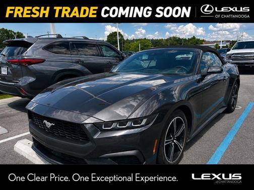 Dark Matter Gray Metallic 2024 Ford Mustang EcoBoost