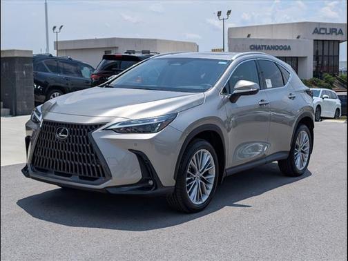 2025 Lexus NX 350 Premium