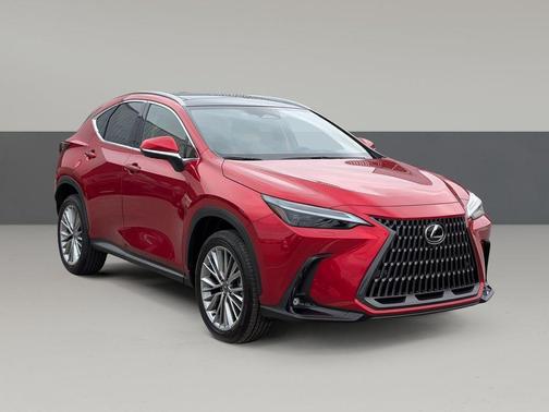 Infrared 2026 Lexus NX 350 Luxury