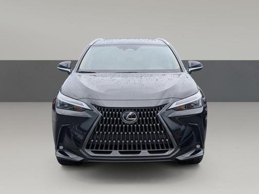 Caviar 2025 Lexus NX 250 Premium