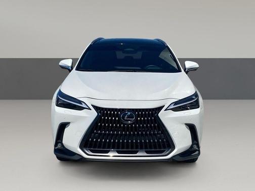 2022 Lexus NX 350h Luxury