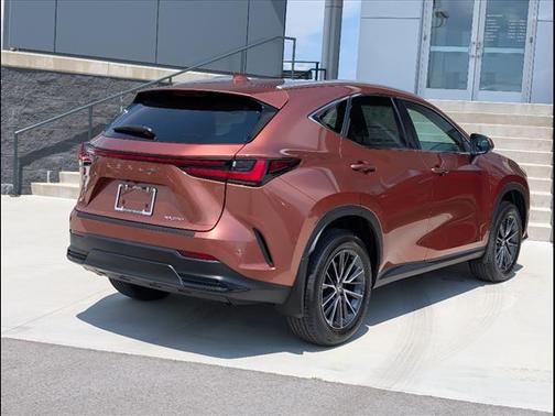 2025 Lexus NX 250 Base