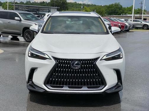 2024 Lexus NX 350 Premium