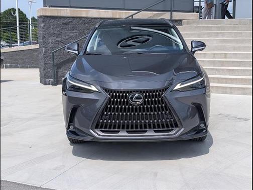 2024 Lexus NX 350 Luxury