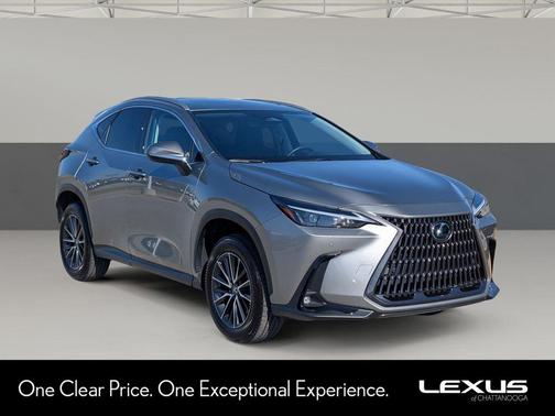 2025 Lexus NX 250 Premium