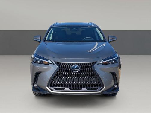 2025 Lexus NX 250 Premium