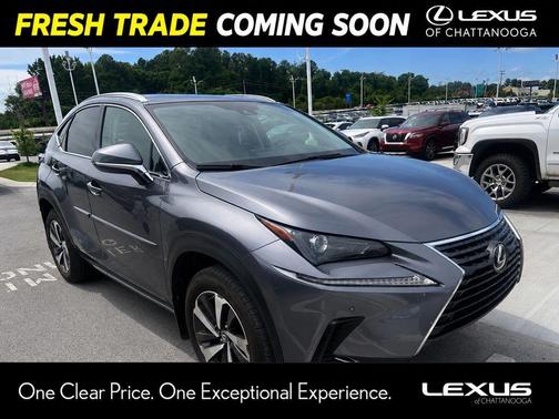 Nebula Gray Pearl 2021 Lexus NX 300 Base