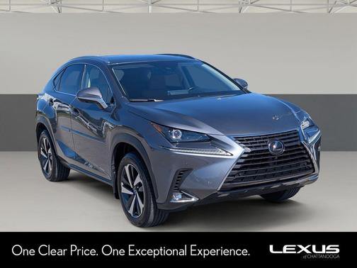 Nebula Gray Pearl 2021 Lexus NX 300 Base