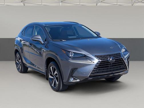 Nebula Gray Pearl 2021 Lexus NX 300 Base