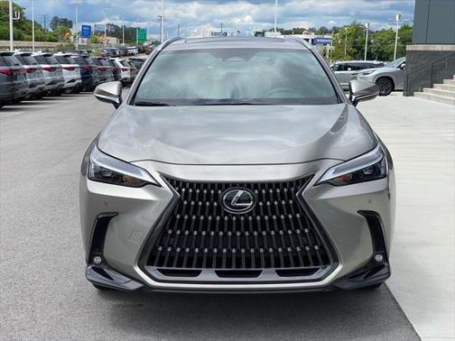 2025 Lexus NX 250 Premium