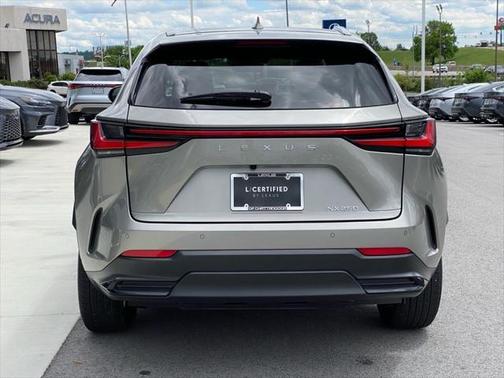 2025 Lexus NX 250 Premium