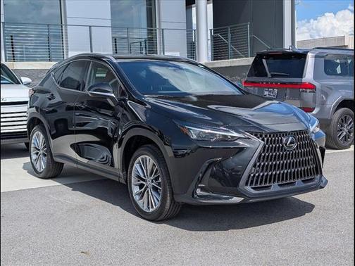 2025 Lexus NX 350h Premium