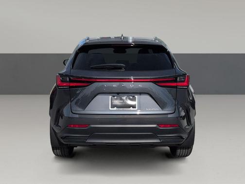 2025 Lexus NX 250 Premium