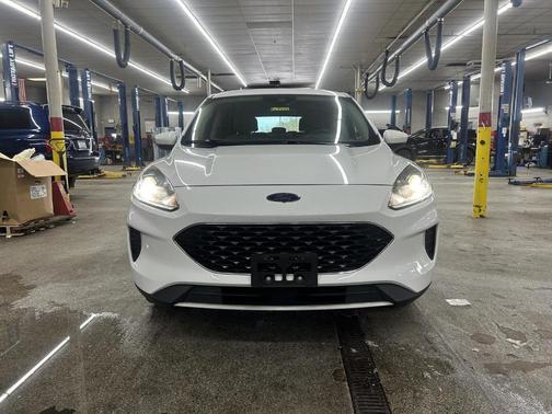 Oxford White 2020 Ford Escape SE