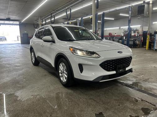 Oxford White 2020 Ford Escape SE