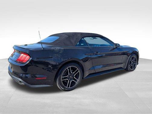 2022 Ford Mustang EcoBoost