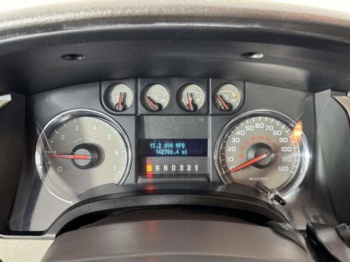 Ingot Silver 2010 Ford F-150 XL