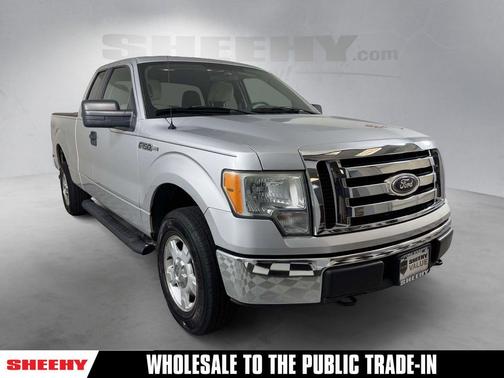 Ingot Silver 2010 Ford F-150 XL