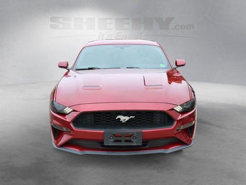 Ruby Red Metallic Tinted Clearcoat 2019 Ford Mustang EcoBoost Premium