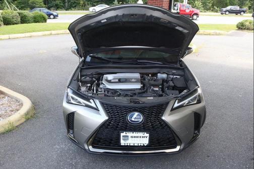 2020 Lexus UX 250h F Sport