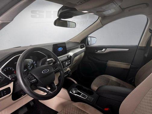 Green Metallic 2020 Ford Escape SE