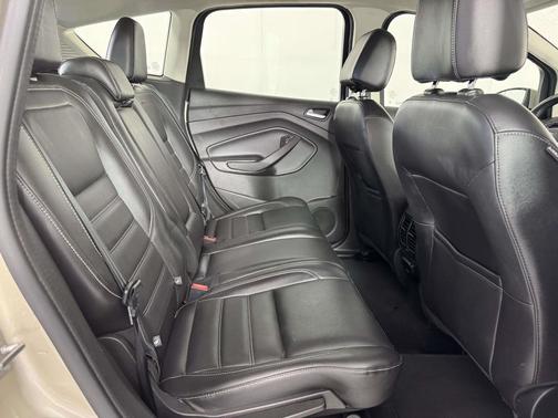 White Gold Metallic 2017 Ford C-Max Energi SE
