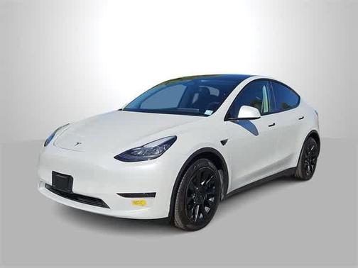 2020 Tesla Model Y Performance Dual Motor All-Wheel Drive