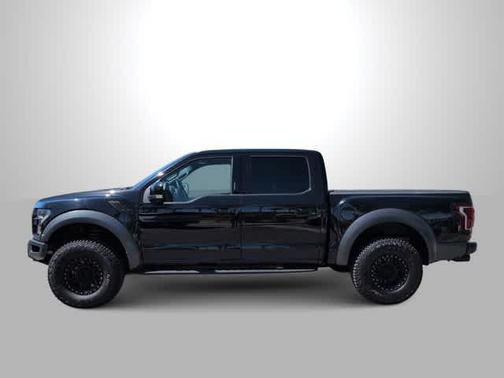 Agate Black Metallic 2019 Ford F-150 Raptor