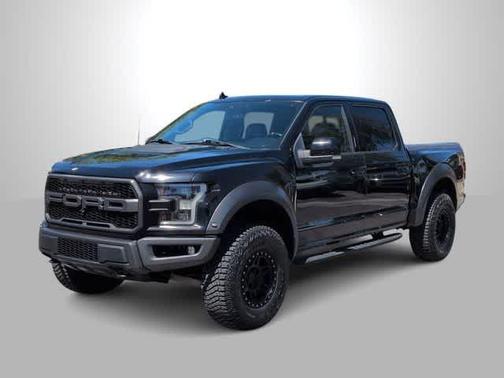 Agate Black Metallic 2019 Ford F-150 Raptor