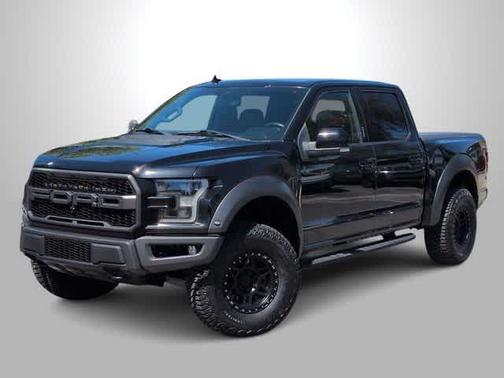 Agate Black Metallic 2019 Ford F-150 Raptor