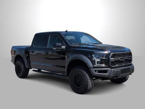 Agate Black Metallic 2019 Ford F-150 Raptor