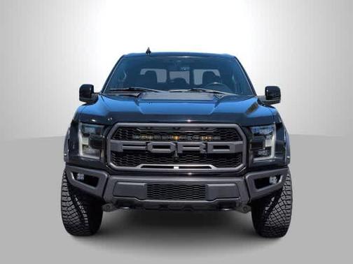 Agate Black Metallic 2019 Ford F-150 Raptor