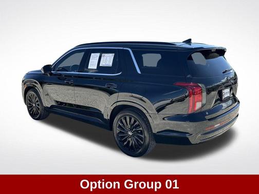 Abyss Black Pearl 2025 Hyundai PALISADE Calligraphy Night Edition