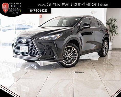 2024 Lexus NX 350 Premium