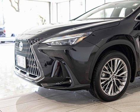 2024 Lexus NX 350 Premium