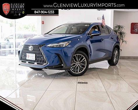 2024 Lexus NX 350h Premium